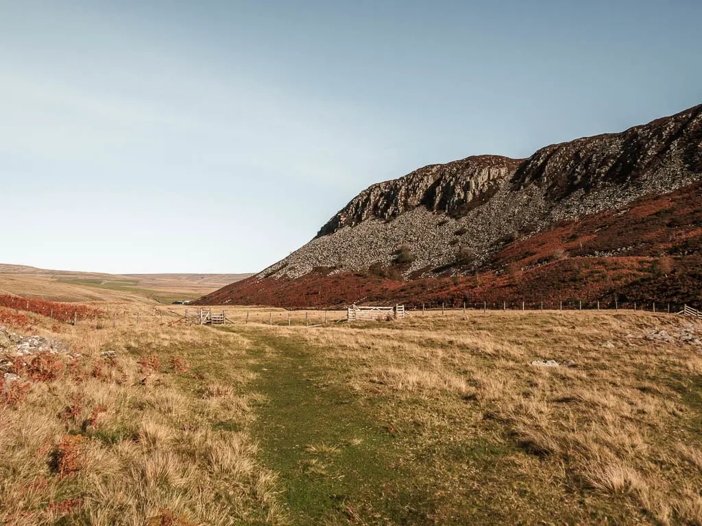 A grass trail surround by overgrown unkept grass, with a big rock hill to the right.