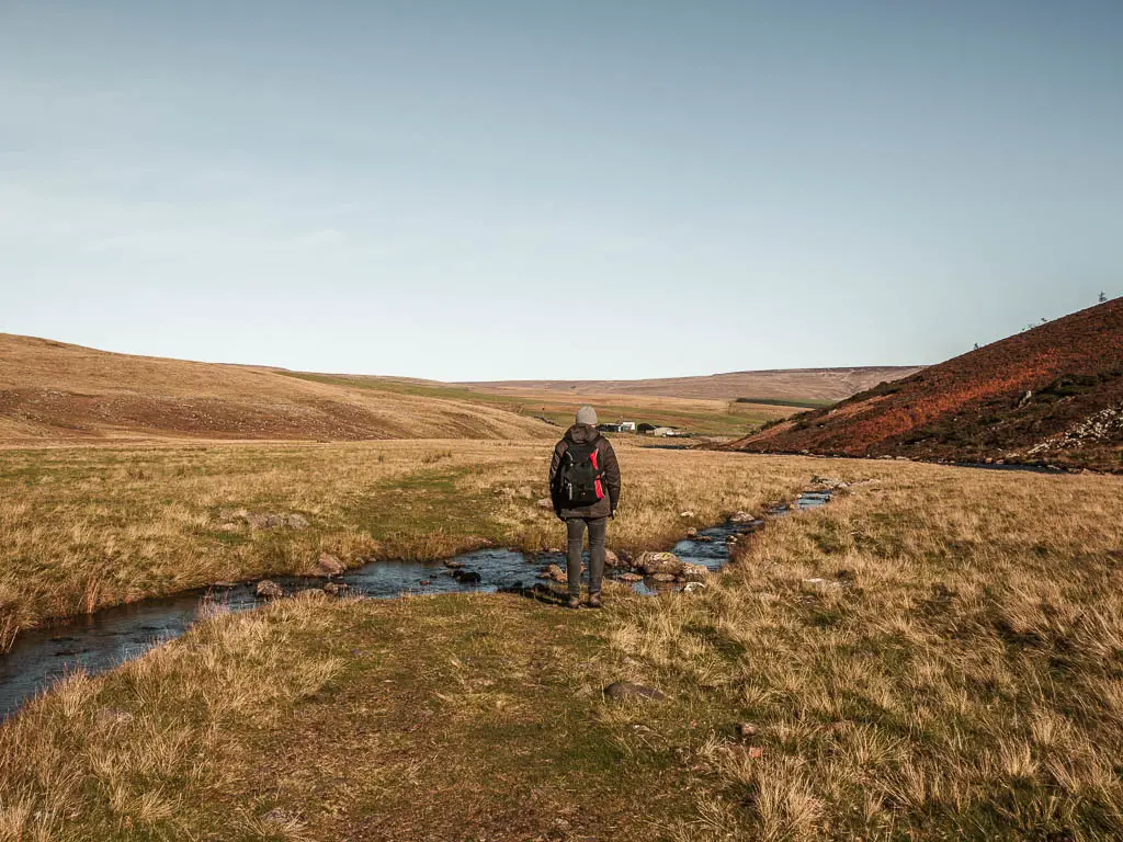 A man about to walk across a small stream flowing through the field.