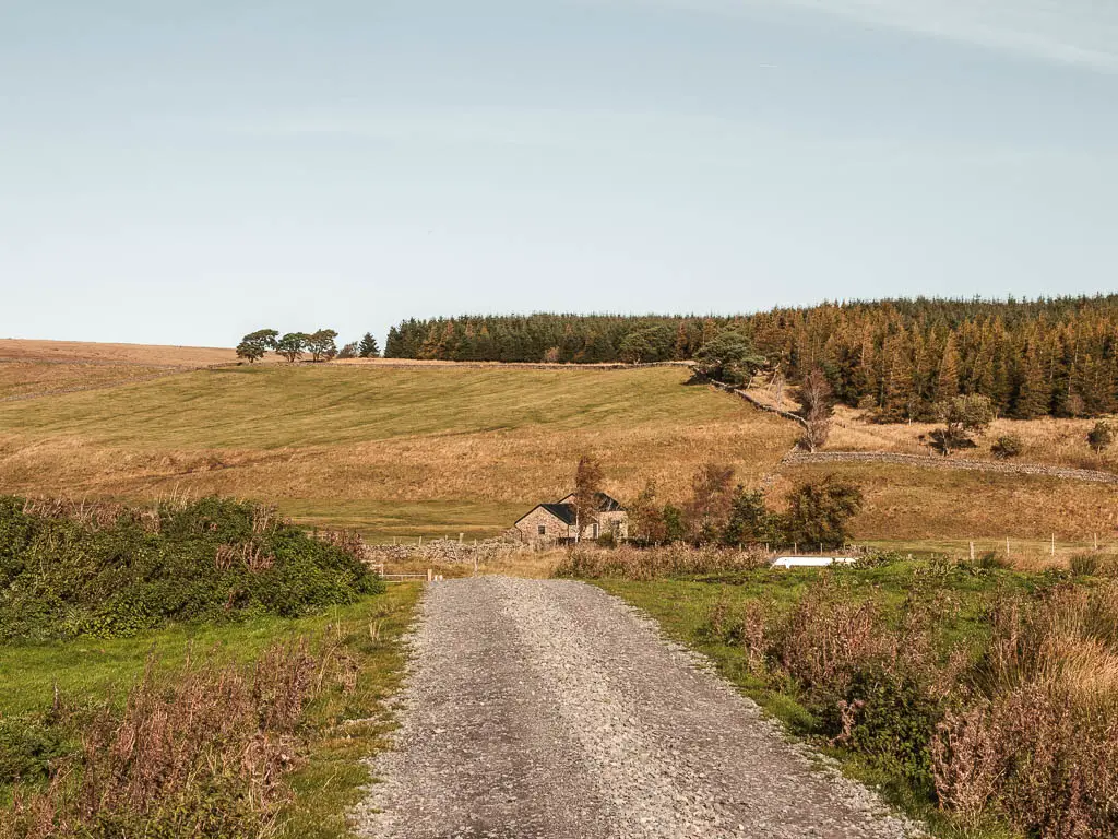 The gravel road leading to a cottage. There is a hill rising up behind the cottage, with woodland trees on top.