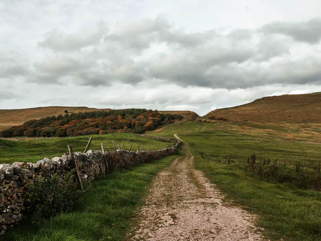 A path running straight, with a stone wall on the left, and green fields on the other side ahead and to the right, at the end of the Mam Tor Circular walk. There is a woodland areas ahead to the left with a mix of green and red leaves.