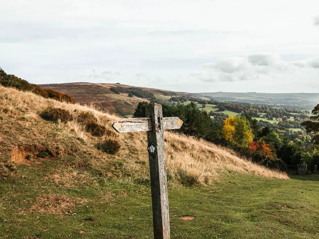 A wooden trail signpost on a grass path. 