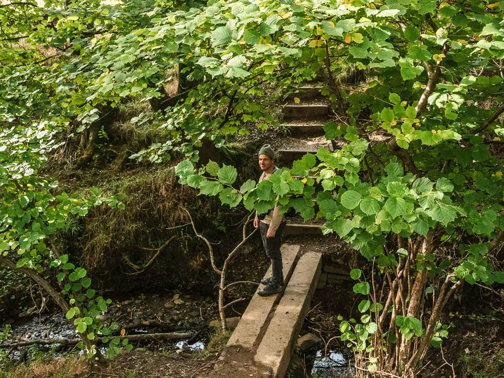A man standing on a wooden plank bridge, partially hidden by tree leaves.