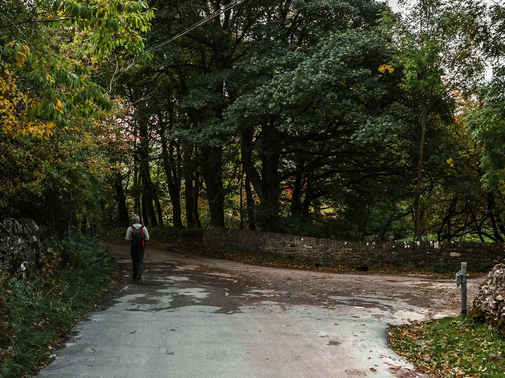 A man walking on a road, Taki g the left turn. The road is lines with a stone wall and trees.