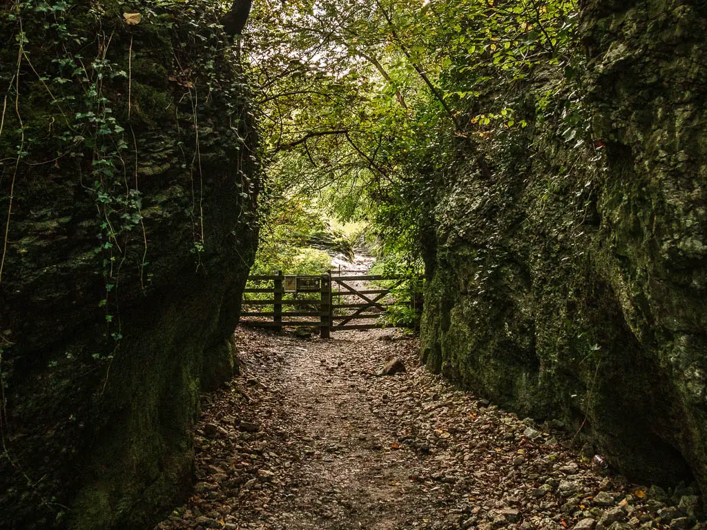A rocky dirt path leading through a dark cave like gorge, with light shining down ahead. Beyond the stone gorge walls is a wooden fence and greenery.