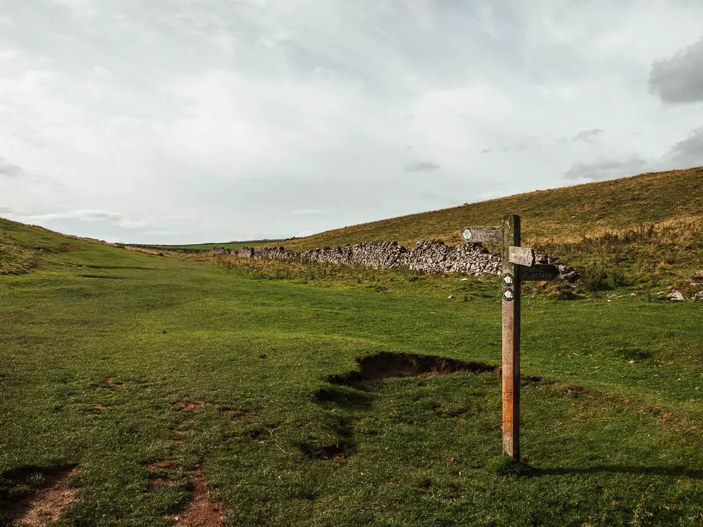 A wooden trail signpost in the middle of a grass field.