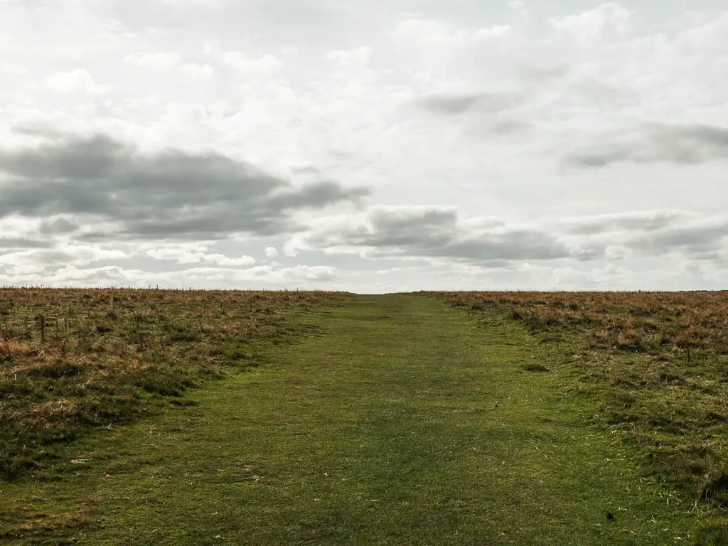 A large wide grass path leading uphill.