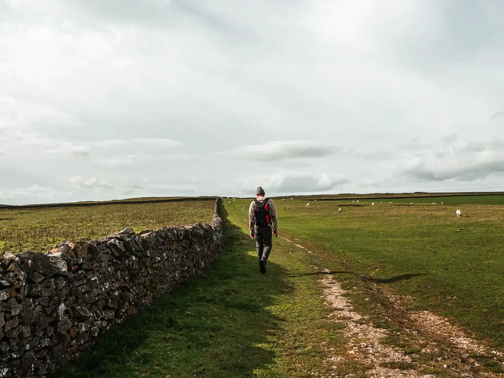 A man walking along the side of a green grass field with a stone wall on the left.