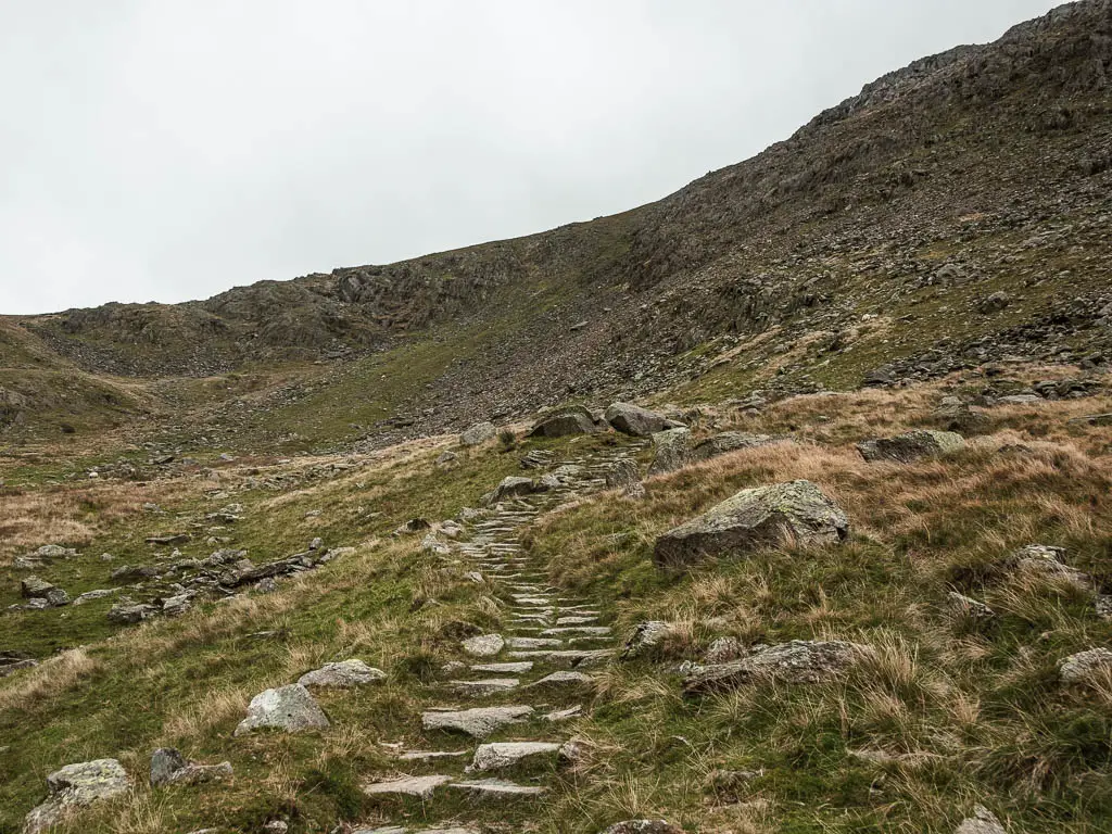 Stone steps leading uphill, surround by overgrown grass.