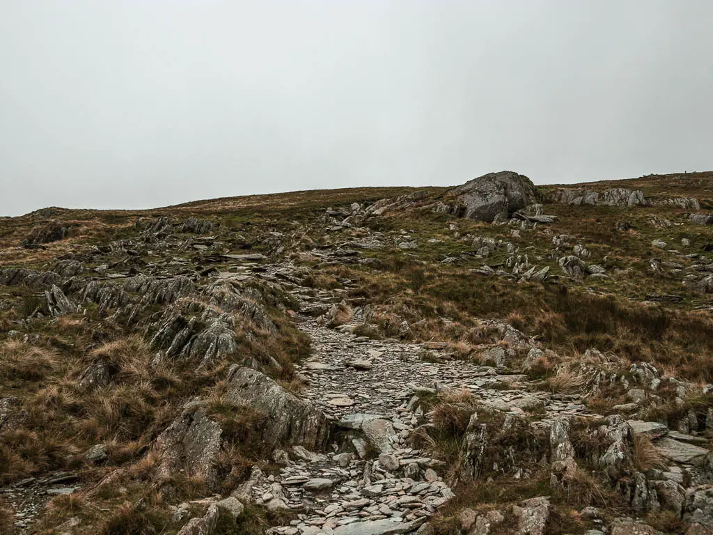 A small rocky trail leading uphill, surround by rugged unkept grass.