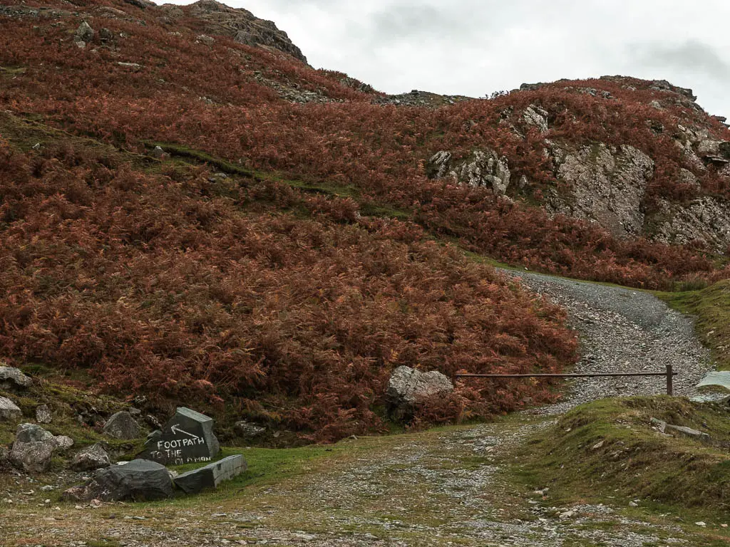 A gravel path leading uphill, surround with rust coloured fern. There is a rock next to the path with says 'footpath' with a white arrow pointing up and left.