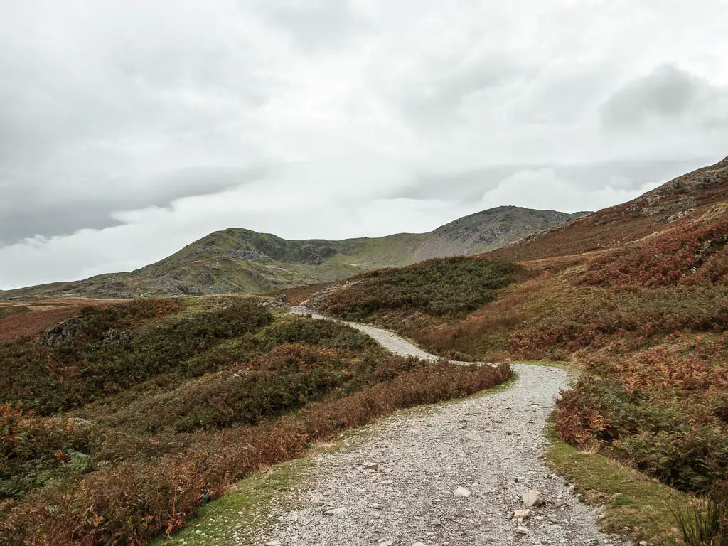 A gravel path snaking ahead, surround by green and rust coloured fern, and some hills ahead in the distance. 