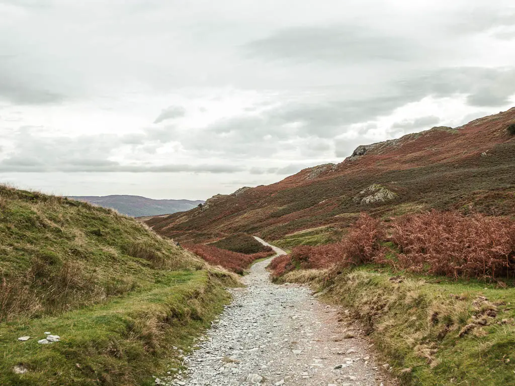 A gravelly path run Ning straight ahead surround by grass and some fern.