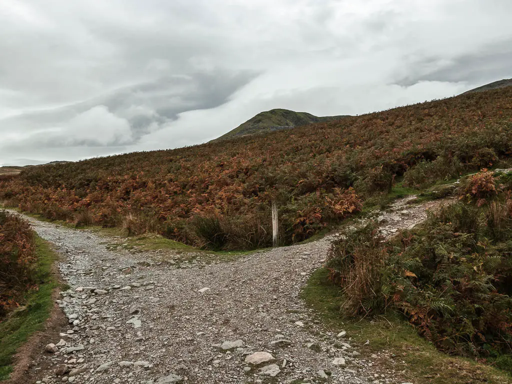 A gravel trail with a trail split leading to the right.