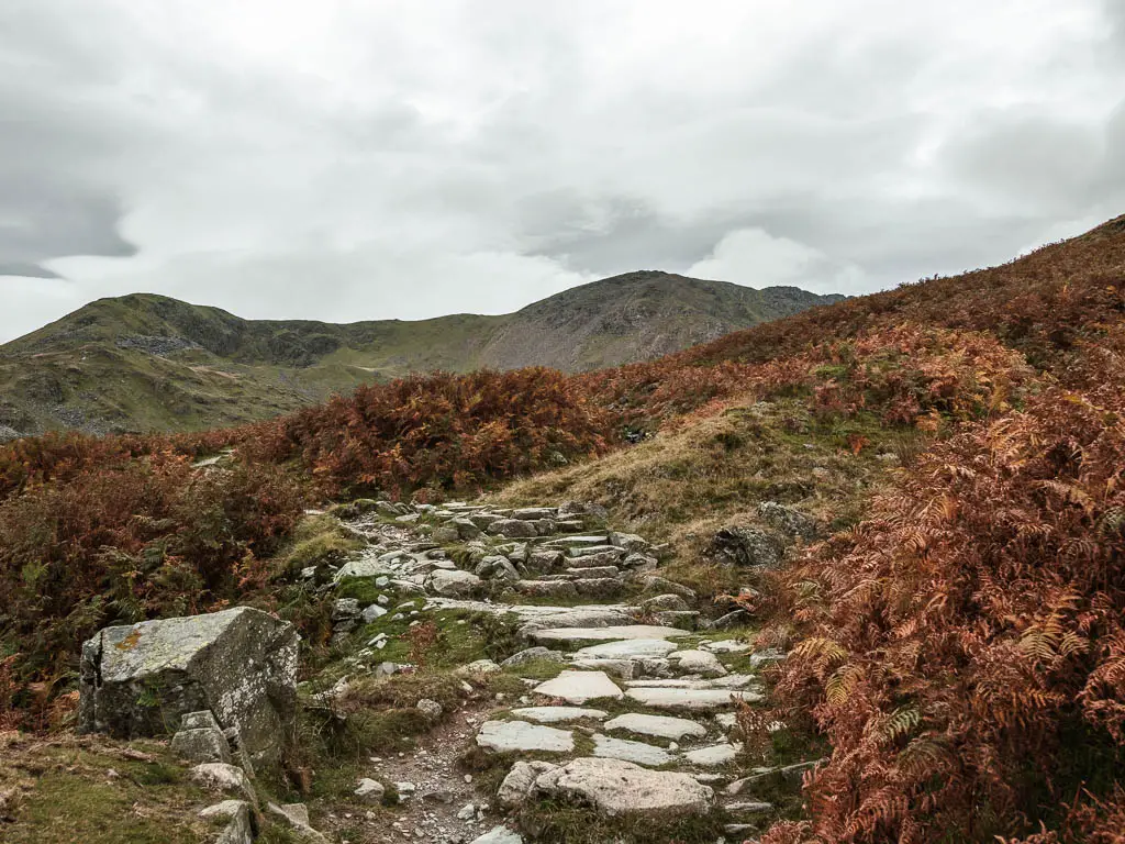 A rugged stone path surround by grass and orange fern, with some hills ahead in the distance. 