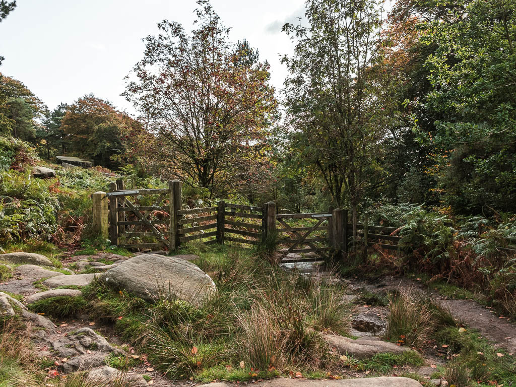 A wooden fence and gate leading to the woodland.