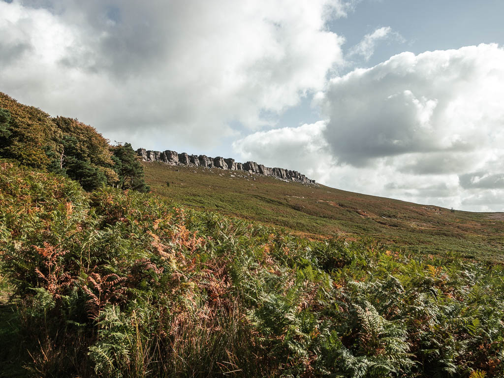 Looking across the fern and up the hill towards the wall of Stanage Edge across the hill at the top.