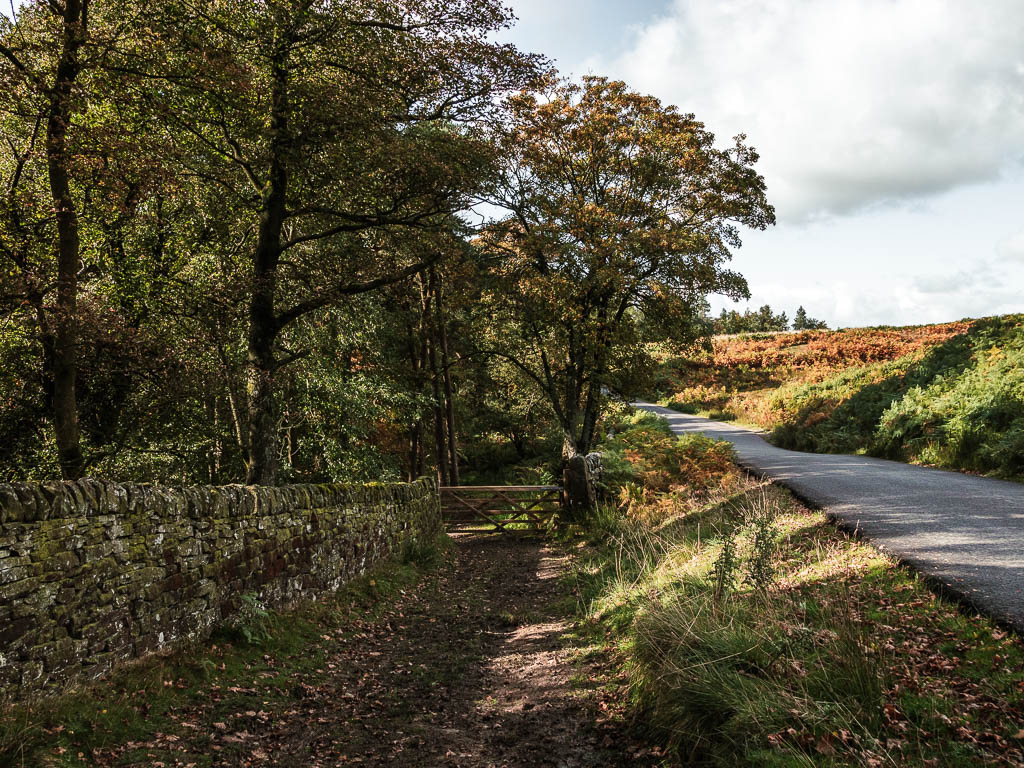 A wide dirt trail leading to a wooden gate and woodland, with the road along the right.