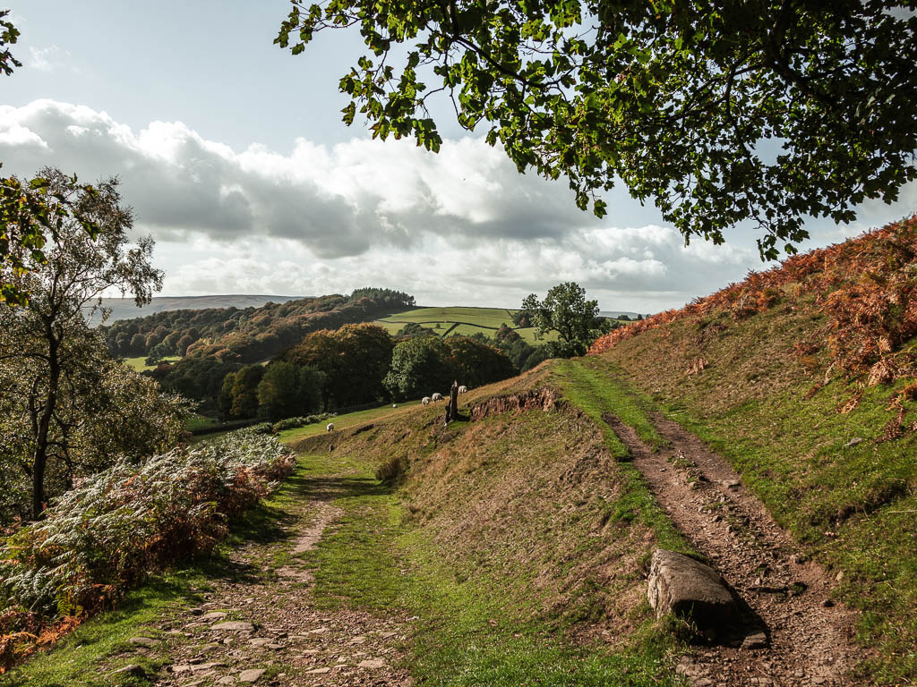 A hill, with a trail running along the bottom and a trail along the side of it on the right, with hills and woodland trees in the distance.