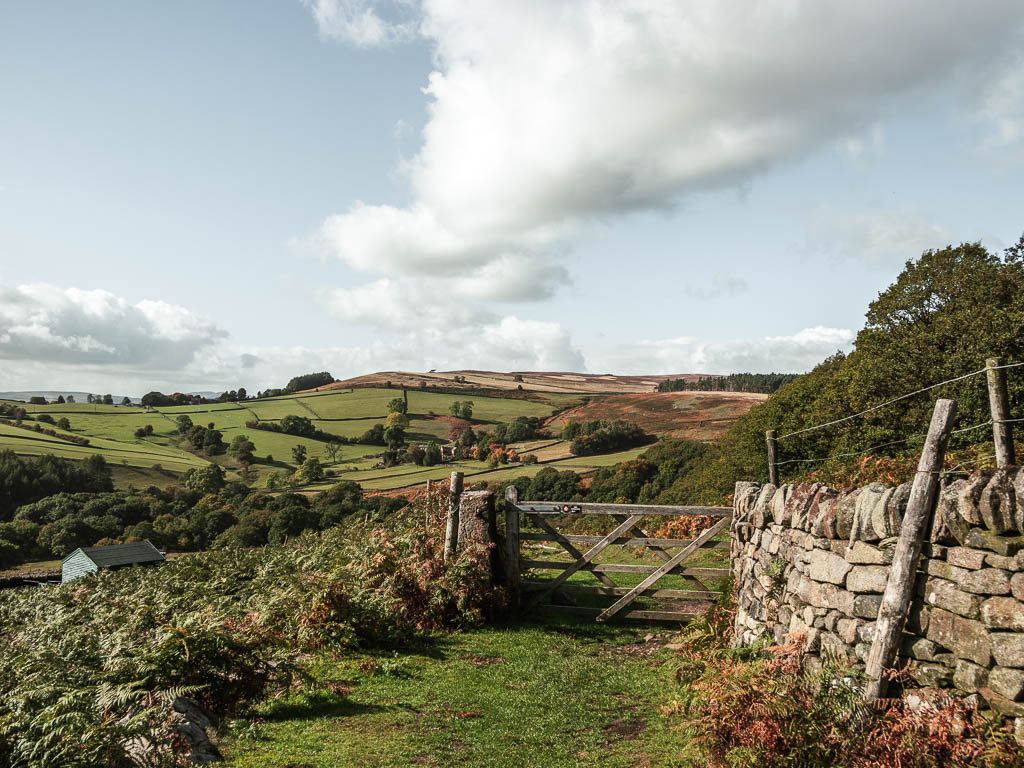 A grass trail leading to a wooden gate, with a stone wall to the right. There are undulating hills in the distance.