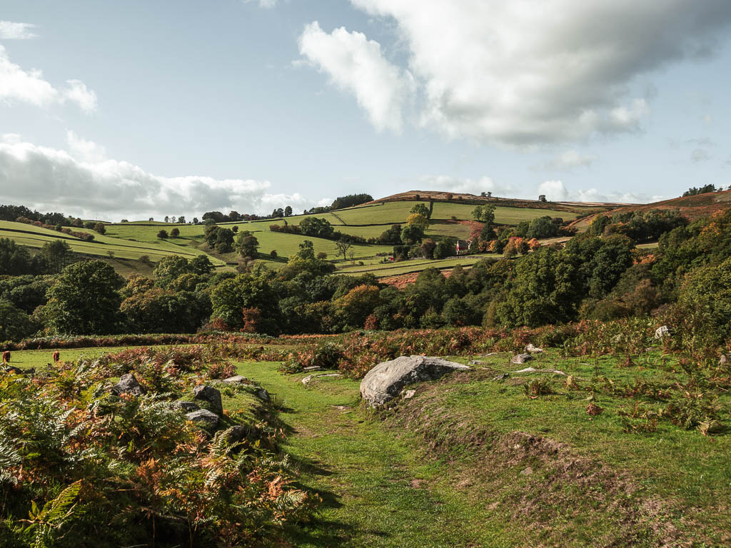 A green grass path leading to woodland trees ahead with hills rising up beyond, on the circular Stanage Edge walk.