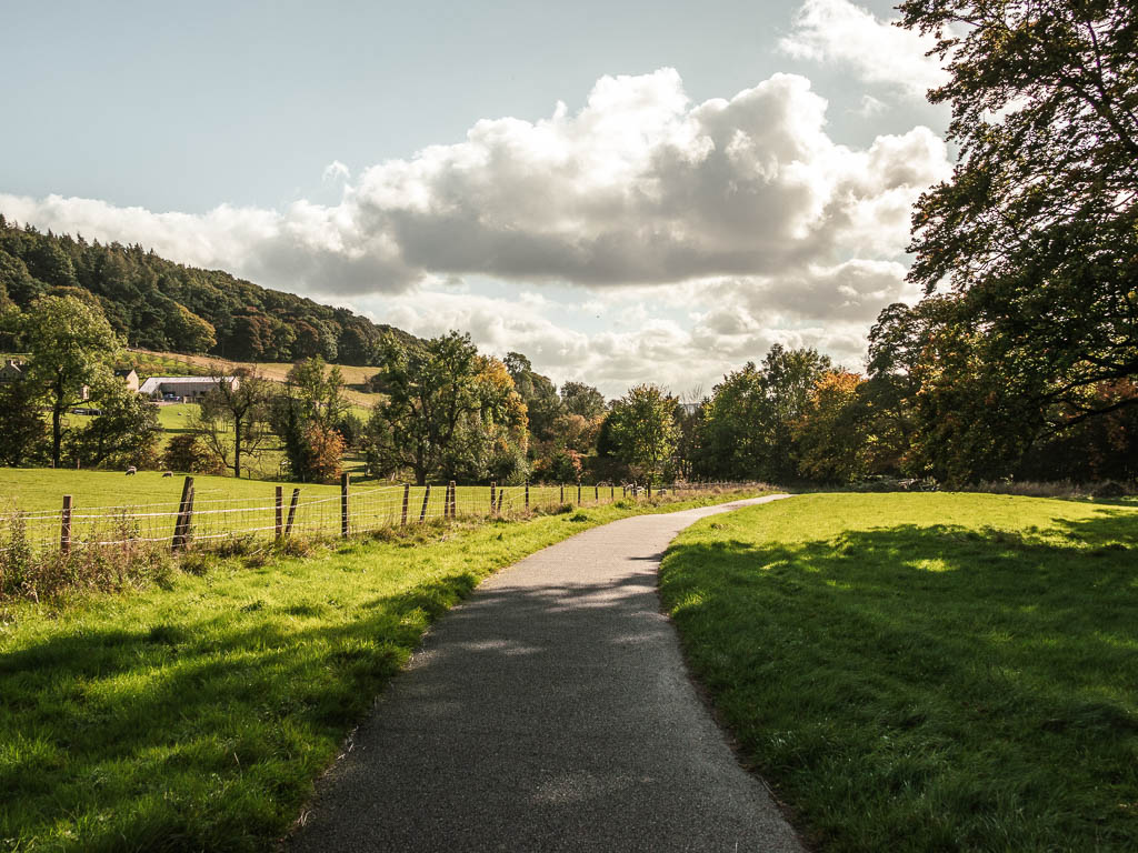 A neat path curving to the right though the field.