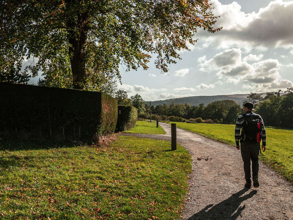 A man walking along a gravel path with a neatly cute hedge to the left.