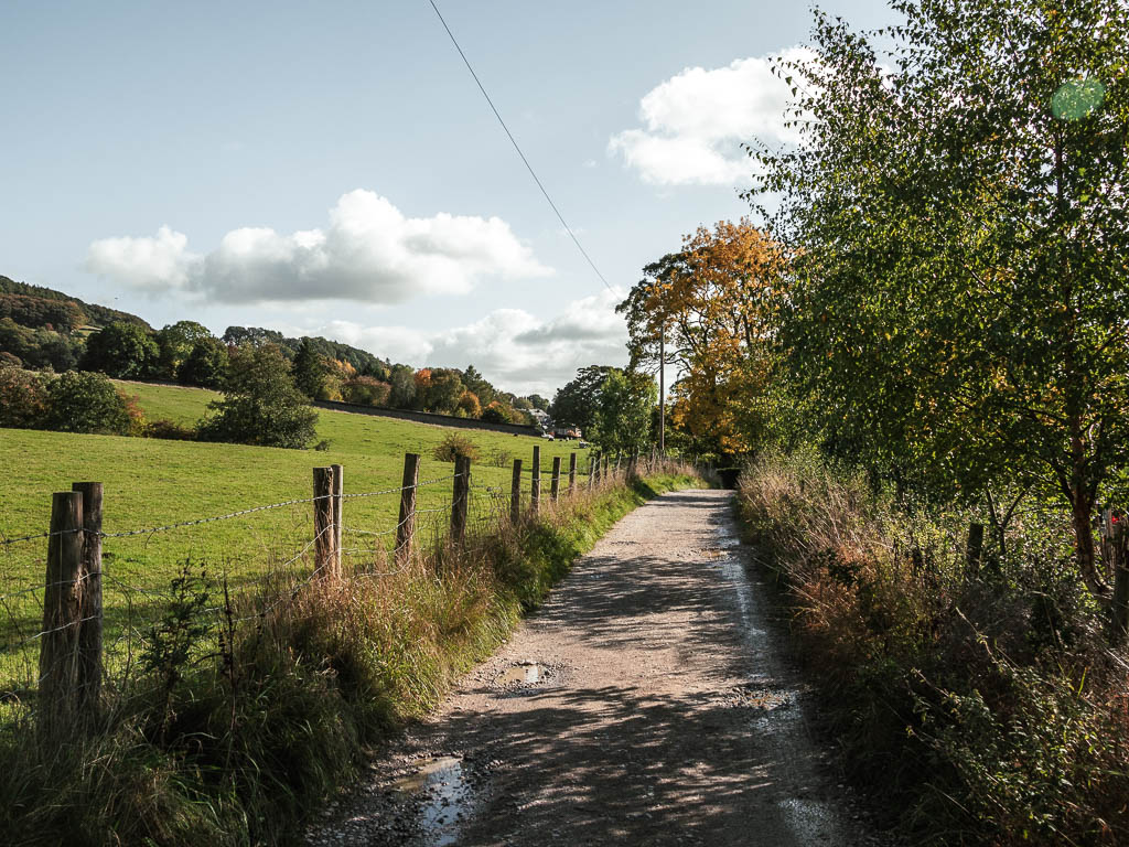 A wide path with bushes and trees to the right and a wire fence and field to the left.