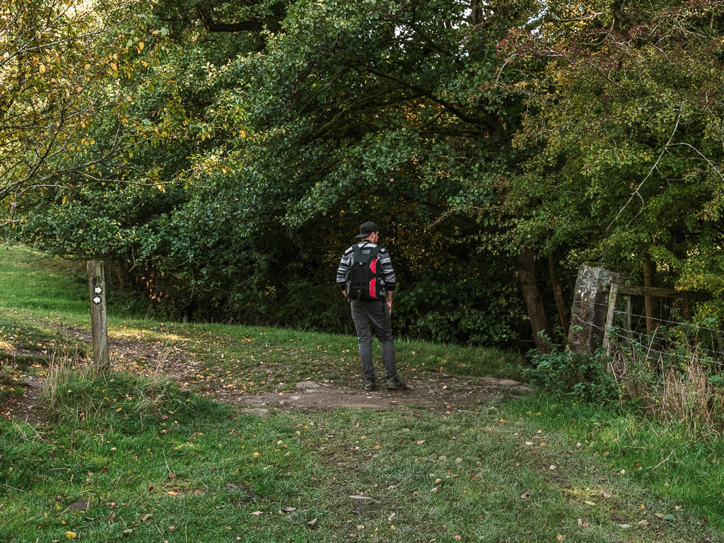 A man standing on a dirt path in the grass, looking right to the trees.