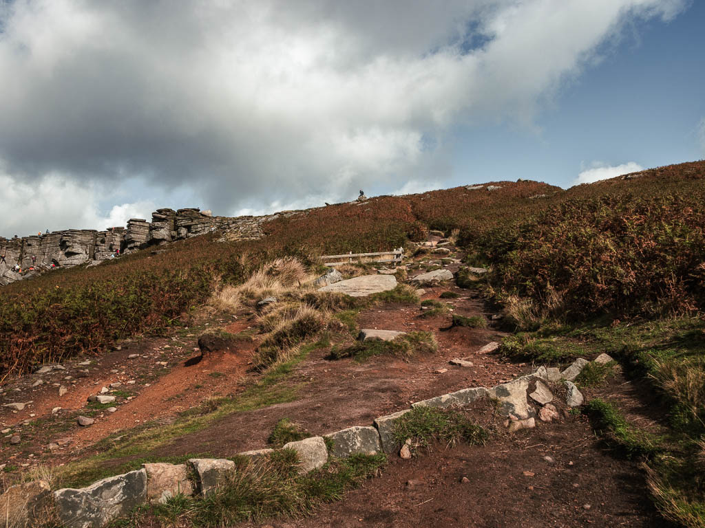 A dirt path with a few rocks leading uphill.