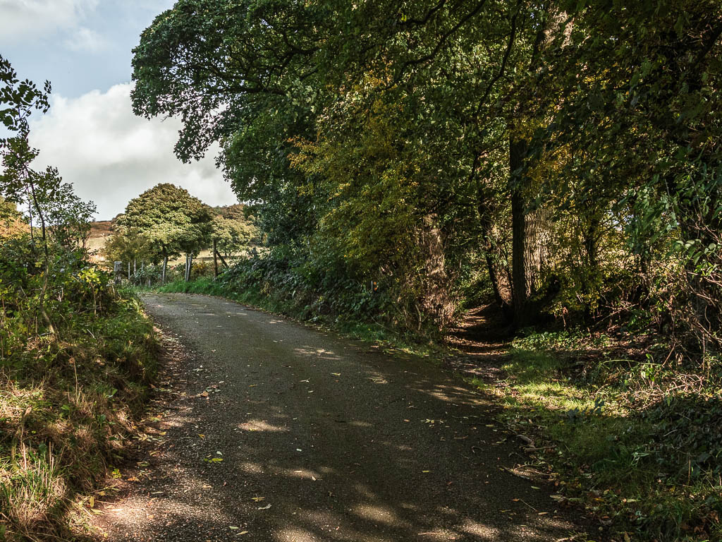 The road leading to the left and a small dirt trail leading off it on the right.