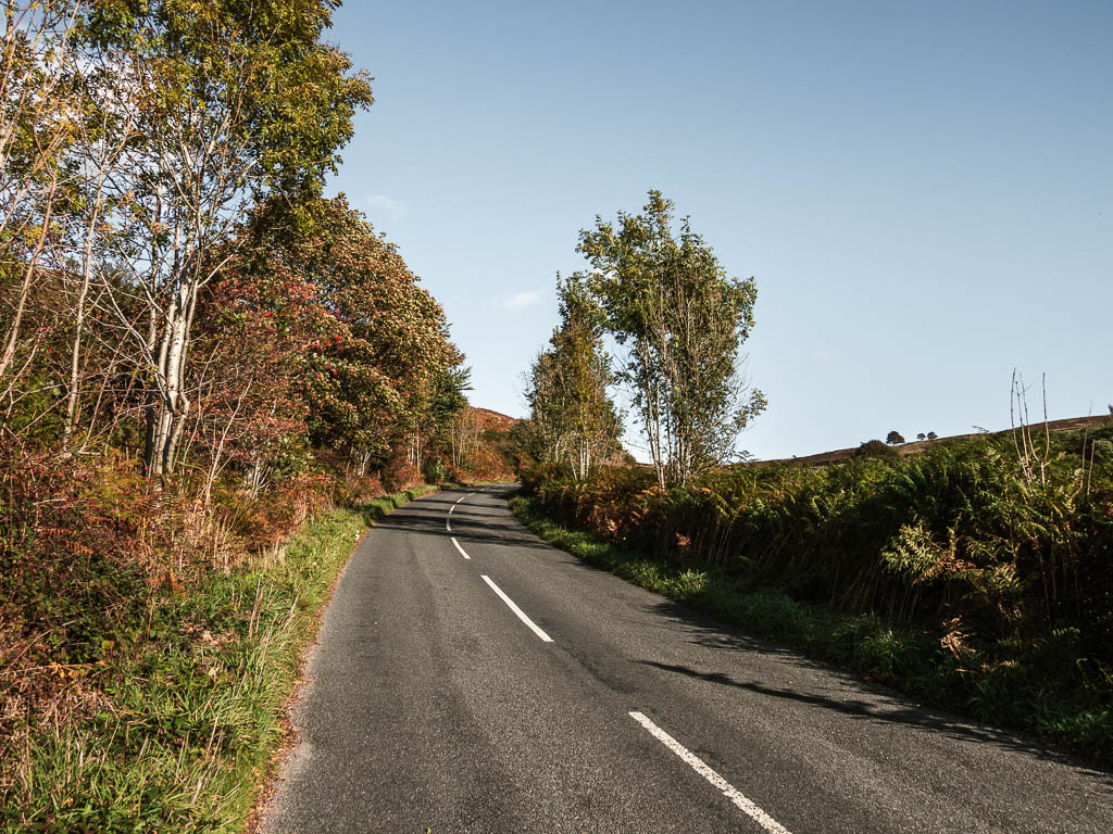 A road leading uphill, lined with bushes and trees.