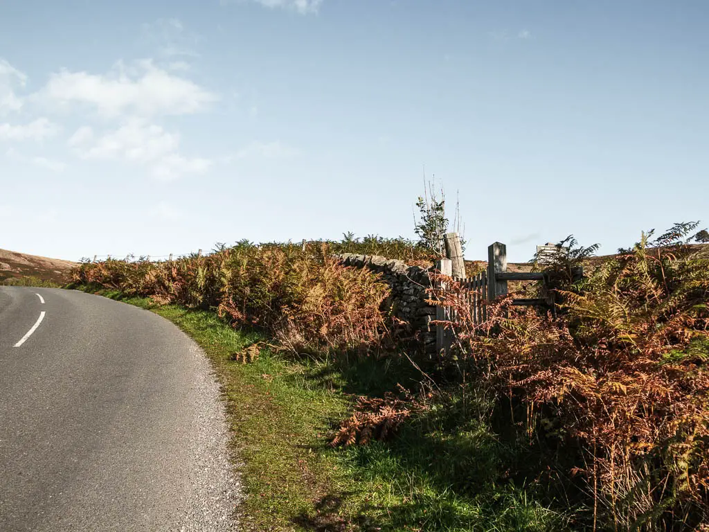 A gate on the right side of the road, surround by fern.