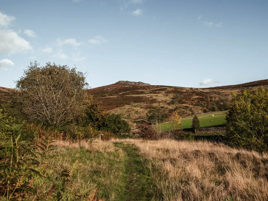 Walking a long a grass trail, with a view to a big hill ahead with Higger Tor on top, on the circular walk route from Stanage Edge.