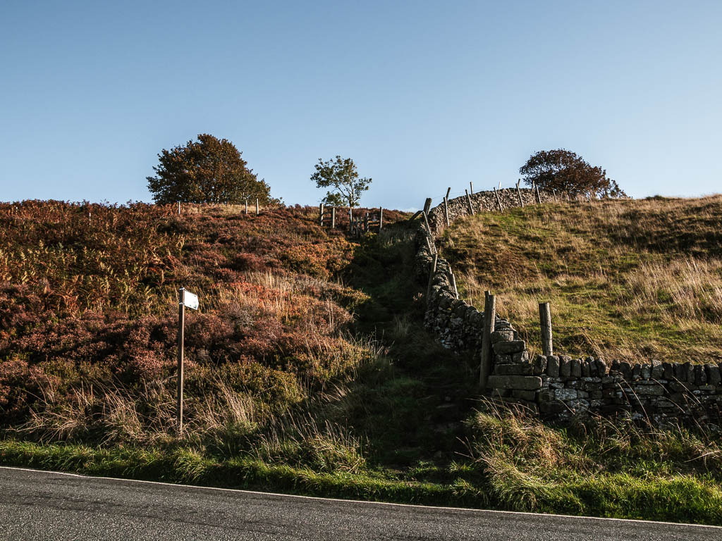 A short but steep rocky trail leading up from the road.