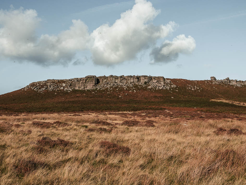 Looking across the tall pale grass to the rock face of Higgor Tor on the hill ahead.