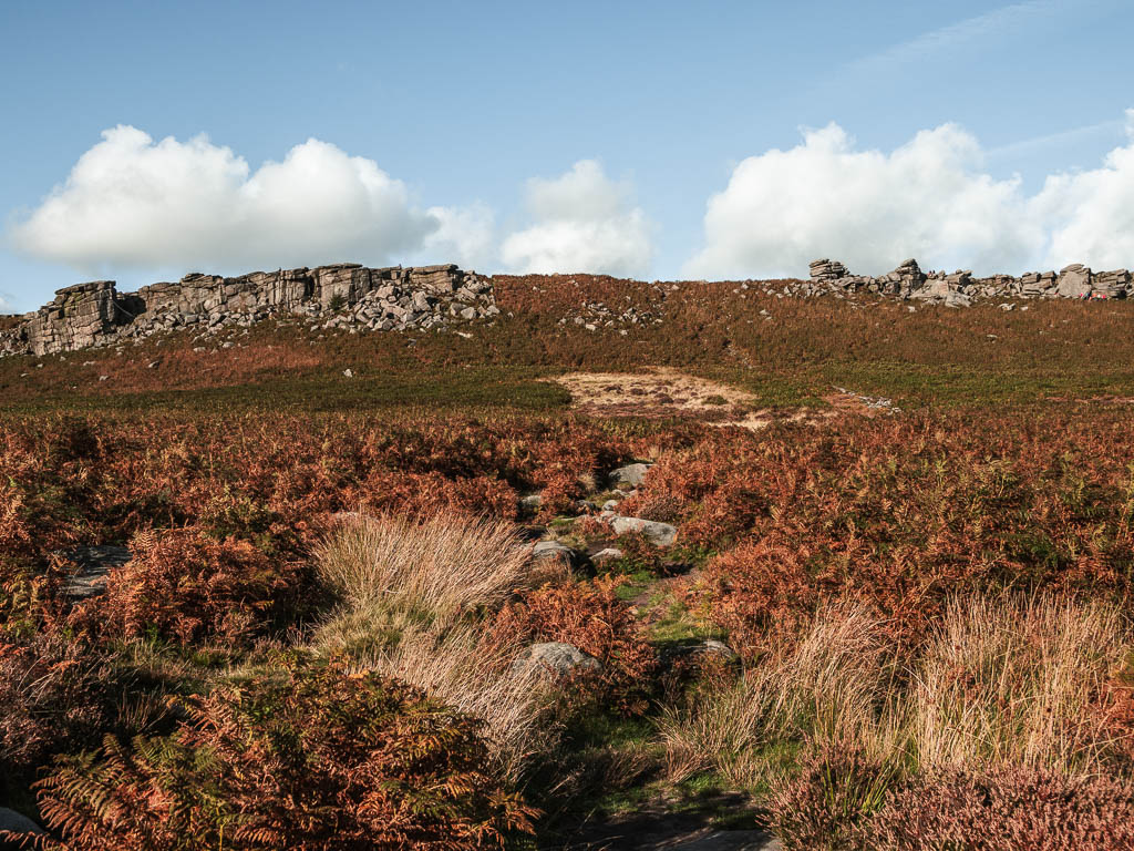 A very rocky path engulfed in tufts of grass and fern, leading the the rocky Higger Tor.