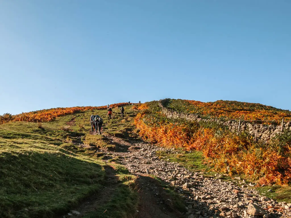 A mass of people walking up a steep hill on the way to Walla Crag. The path is rocky through the grass, with orange fern and a stone wall on the right side.