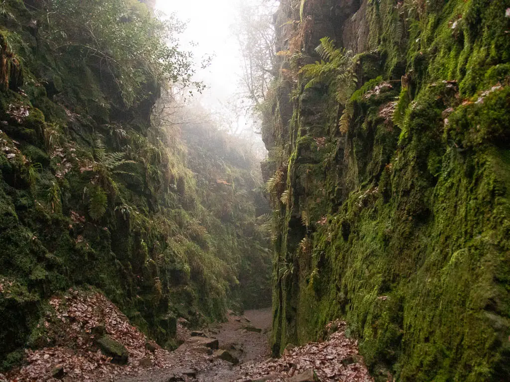 Looking through a tall moss covered chasm with mist above on one of the most mystical walks in the Peak District.