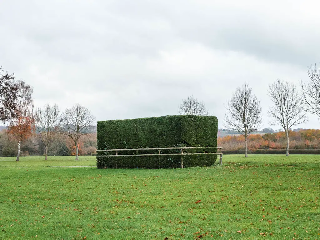 A rectangle neatly cut hedge, with a wooden fence around it, along the Henley to Hambleden circular walk