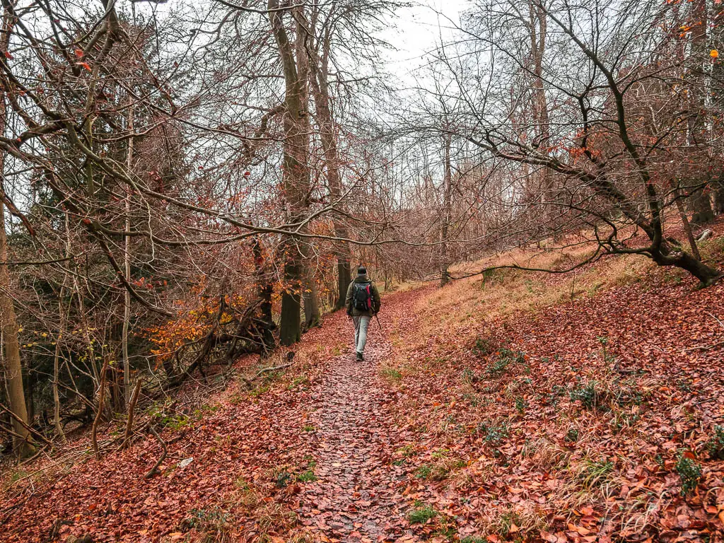 A man walking uphill on a ground covered in fallen red and orange leaves, on the way back to Henley from Hambleden.