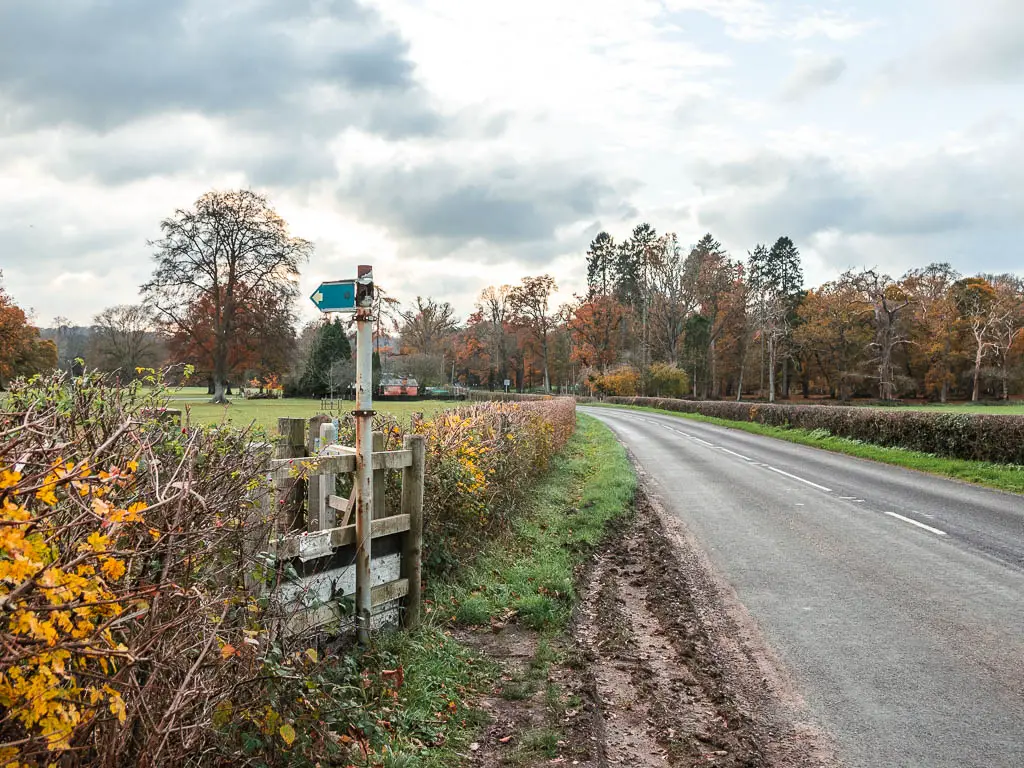 A road on the right, and a thin hedge on the left, with a wooden trail signpost poignant left through the hedge into the field.