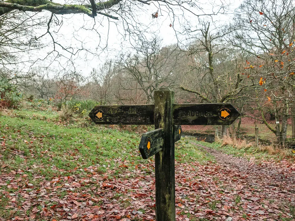 A wooden trail sign post pointing the way for the walking route to Lud's Church.