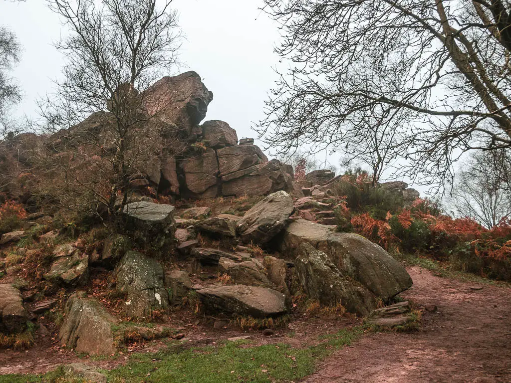 A mass of big rocks on the circular walk to Lud's Church.