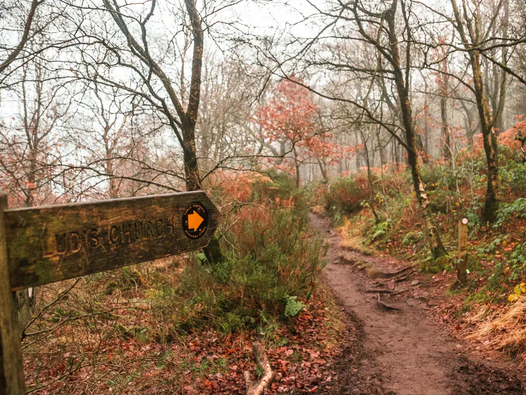 A wooden trail signpost pointing along the trail for the walking route to Lud's Church.