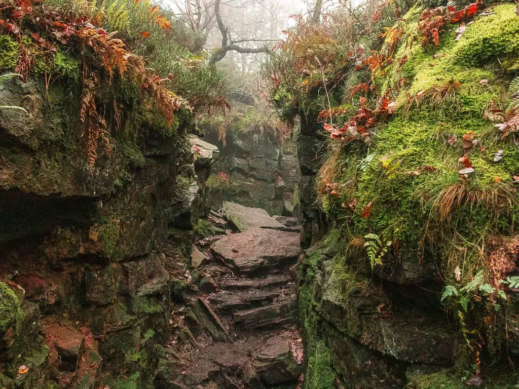 Looking through the entrance of Lud's Church at the start of the walk through it. The walls are covered in vibrant green moss.