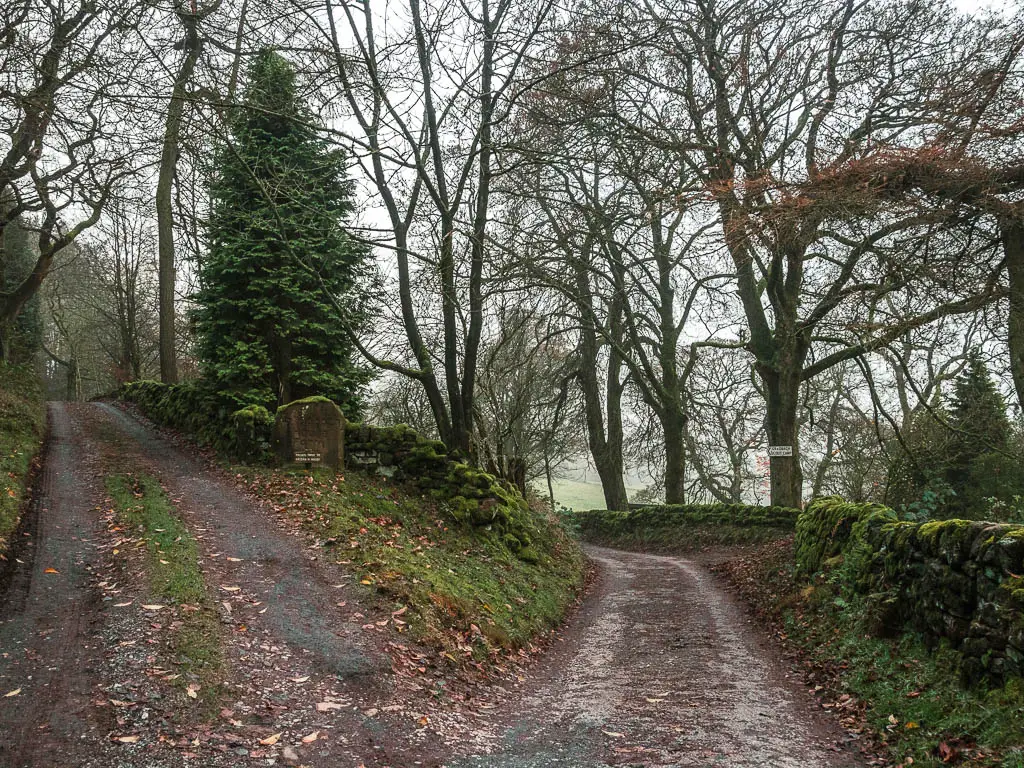 A split in the road, with the left one going uphill into private property. There is a moss covered stone wall on the right.