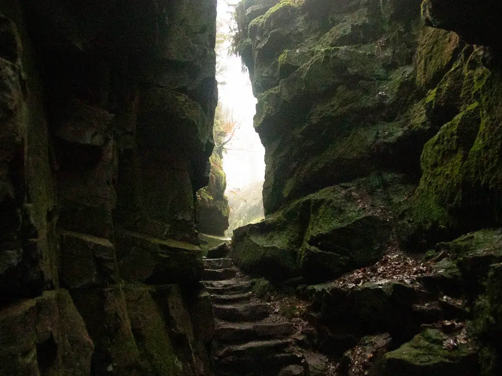 Stone steps leading up through a small gap within the chasm of Lud's Church, on the walk back out.