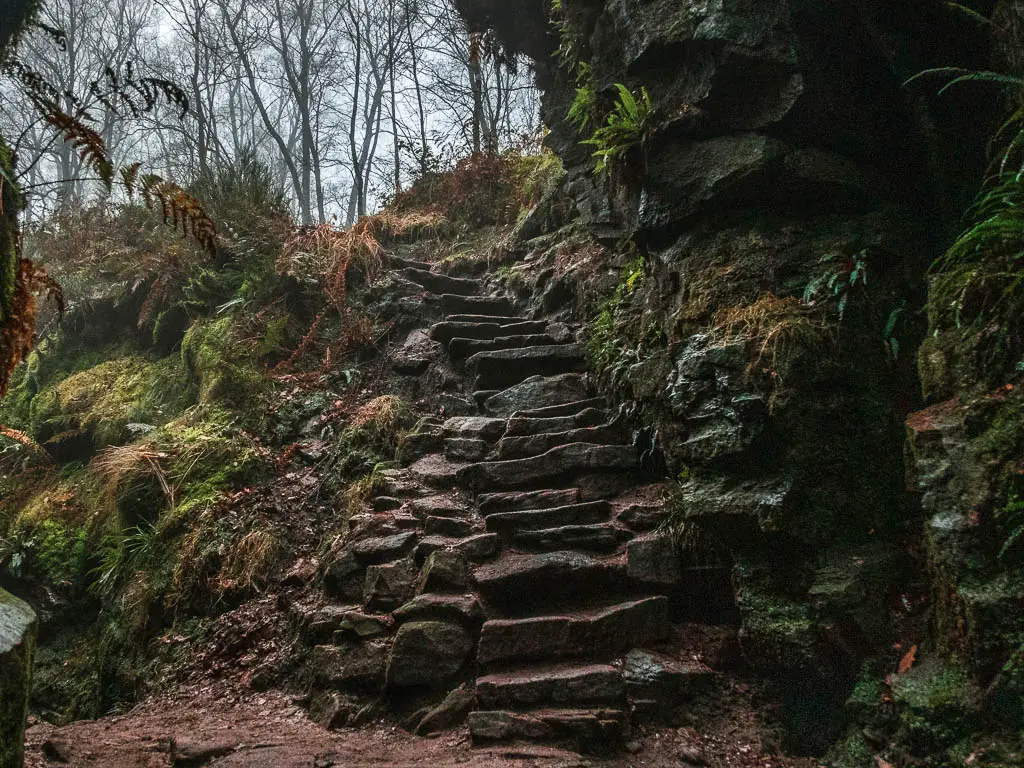 Rugged stone steps leading uphill, on the walk out of Lud's Church. It is surround by rocks and vibrant moss.