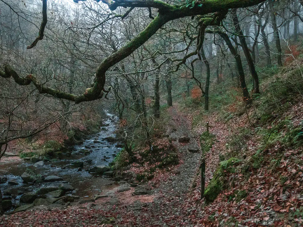 The trail leading to a river, filled with rocks. 