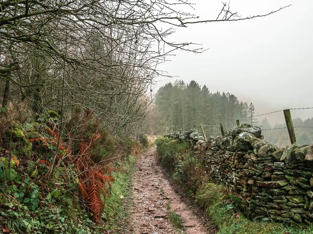 A rocky trail with a stone wall on the right, and bushes and leafless trees on the left.